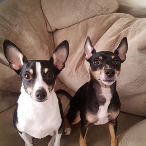 Meet your Posher, Donyelle